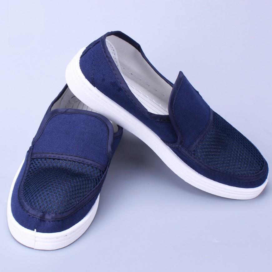 Sapatos de lona azul esd